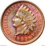 LaZooRo: Združene države Amerike 1 Cent 1893 PROOF mavrica