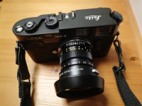 Leica M4-2 + Summicron 1:2/50