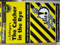 The Catcher in the Rye, CliffsNotes
