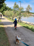 Apartmaji otok Pašman