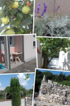 ISTRA - VODNJAN - BETIGA