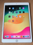 Apple iPad 7.gen, 132 gb