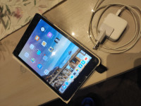 Apple Ipad mini 3 - malo rabljen 16Gb,retina