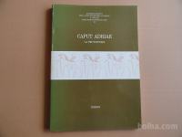 CAPUT ADRIAE, LA PROTOSTORIA, TRIESTE