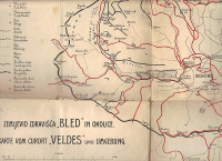 ZEMLJEVID ZDRAVILIŠČA "BLED" IN OKOLICE, 1900
