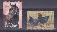 AVSTRALIJA 2013 - Konj, Kokoš živali žigosani samolepilni znamki