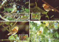 KUKOVI OTOKI - WWF - PTICE - serija 4 M.C. karte - (msmk)