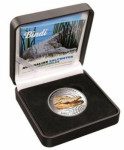 Australia - 1$ 2013 Saltwater Crocodile Bindi - Coloured 1 Oz - Silver