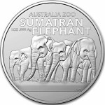 Avstralija1 oz srebrnik Sumatran elephant 2022 (trezor)
