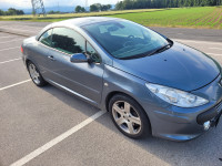 Peugeot 307 CC Kabriolet, 2,0 diesel, 2008 letnik, klima,majhna poraba
