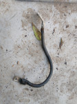 fiat ducato peugeot boxer citroen jumper kabel minus negativen