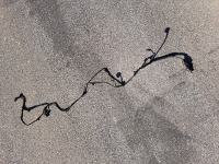 Instalacija za park senzorje Audi, VW 4H0 973 714