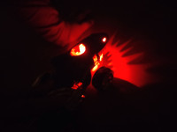 Hot wheels avto na baterije