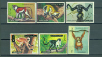 Ajman 1973 fauna opice serija MNH**