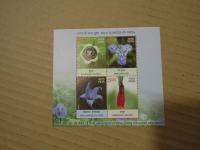 Indija-flora in favna - rože.