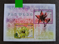 Maldivi -  flora, cvetje, rože, blok, orhideje