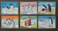 Umm All Quwain, celotna serija, favna, živali, pingvini