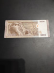 Syria 5000