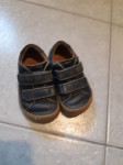 Prodam Froddo barefoot, nizek čevelj, velikost 24