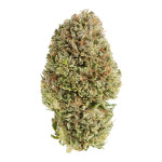 vrhunska CBD konoplja