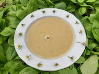 Domača zelenjavna juha