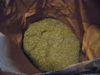 Industrijska konoplja v prahu