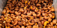Kraljevi indijski oreški z lupino, suho praženi, rahlo soljeni