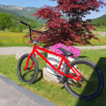 BMX WeThePeople