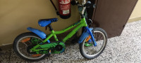 Otroško kolo 18"