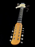 12 Strunska El. Kitara / Custom Build (ni Fender-Gibson)