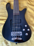 BASS 5 STRING WARVICK - STREAMER