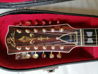 Eko Eldorado, vintage 12 strunska kitara