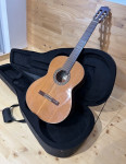 Akustična kitara s kovčkom