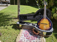 kovček za mandolino
