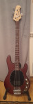 Sterling Stingray SUB by Musicman