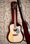 TAKAMINE 12-strunska akustična kitara - G series - EG345C