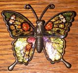 Broška metulj