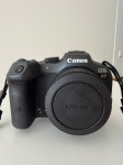 Canon EOS R7 + EF-RF adapter v vrhunskem stanju / kot nov