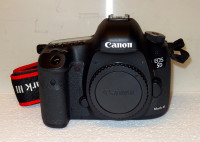 Canon 5D mark III, grip in Canon 24-105mm f/4