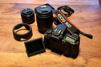 Canon EOS 90D dslr