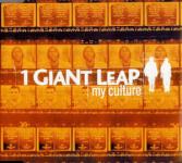 1 Giant Leap ‎feat. Robbie Williams & Maxi Jazz – My Culture [2001]
