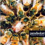 CD PARADISE LOST - BELIEVE IN NOTHING