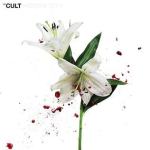CD The Cult: Hidden City (2016)