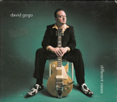 David Gogo – Different Views  (CD)