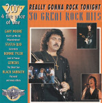 Various – Really Gonna Rock Tonight - 30 Great Rock Hits   (2x CD)