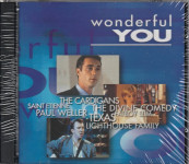 Various – Wonderful You   (2x CD)
