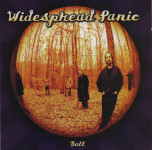 Widespread Panic – Ball  (CD)