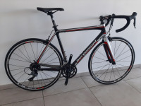 Bergamont PRIME LTD karbon