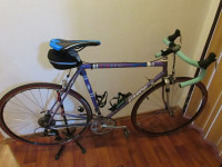 bianchi