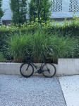 cannondale blackink